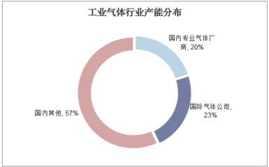 2020-2025年中国工业气体行业市场运行态势及投资战略研究报告